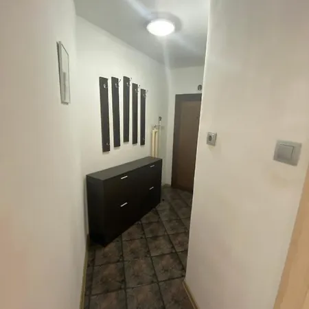 Central Studio With Lovely Terrace & Free Street Parking Apartment *