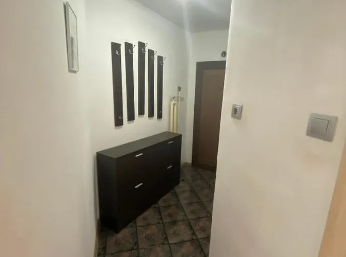 With Lovely Terrace & Free Street Parking Apartment *